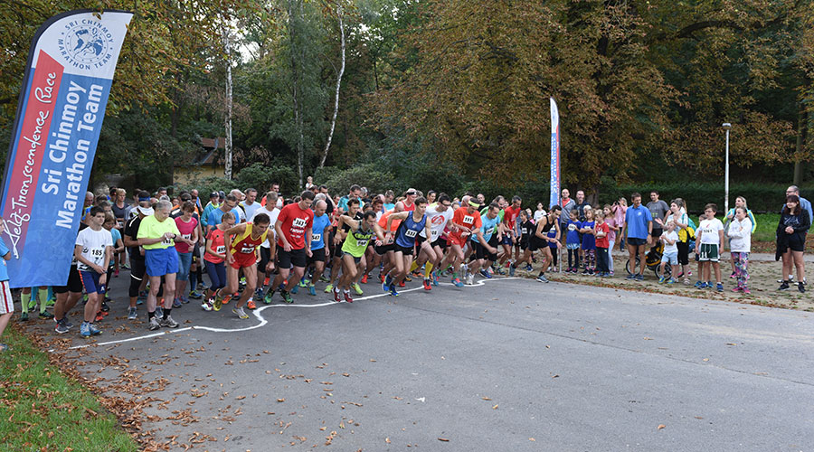 Vlm strčň